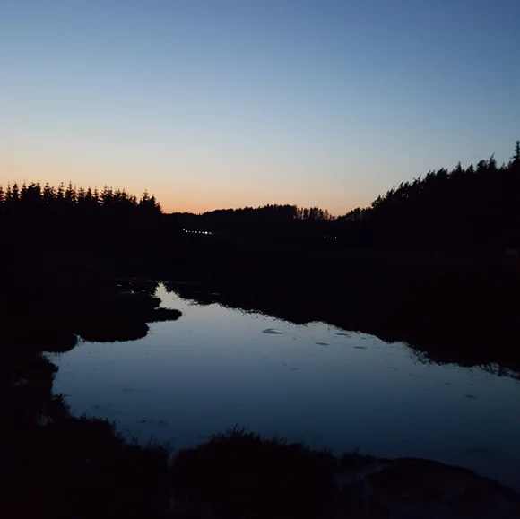 Meet your Posher🍄🐾☘️ - Picture 2 of 12